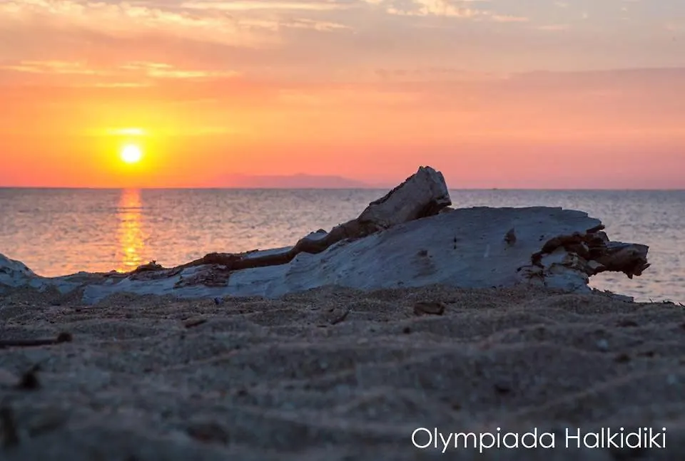 Kallisto • Ancient Stagira Apts • Chalkidiki Apartment Olympiada