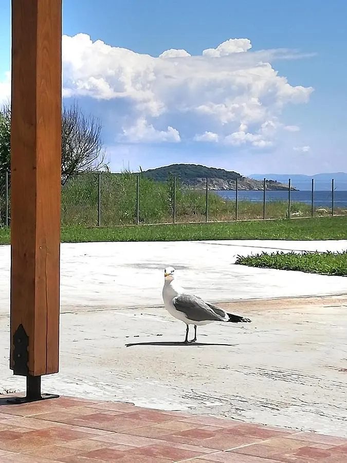 Kallisto • Ancient Stagira Apts • Chalkidiki Apartment Olympiada 0*,